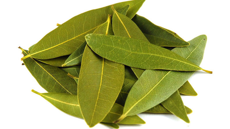 bay-leaves-california-organ