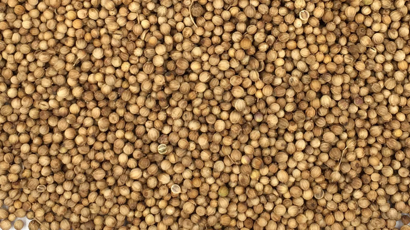 coriander-seeds