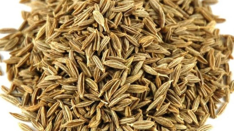 cumin-seeds-bold