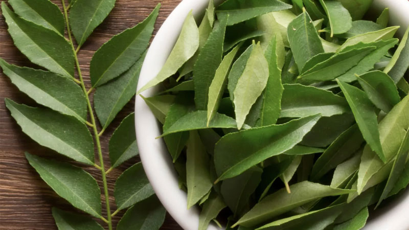 curry-leaves