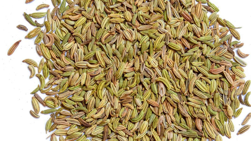 fennel-seeds