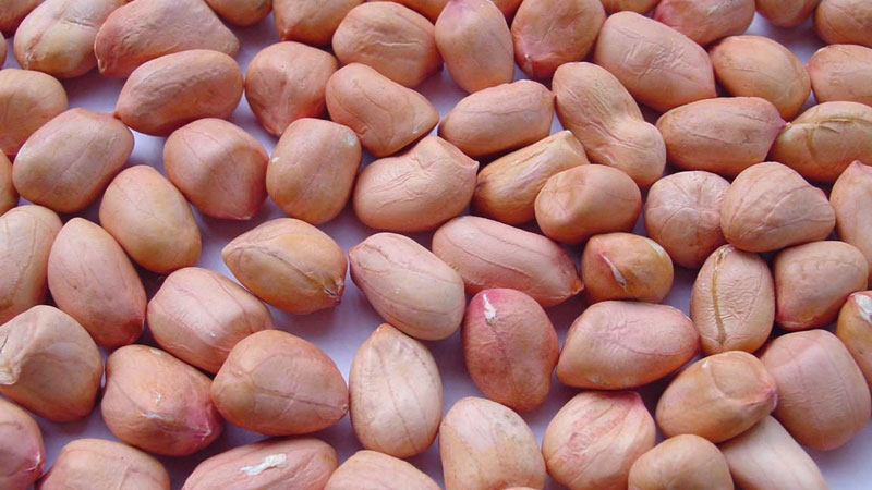 peanut-kernels