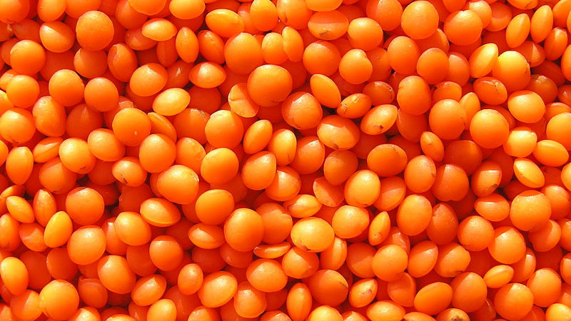 red-whole-lentils