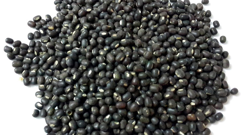 urad-dap-whole